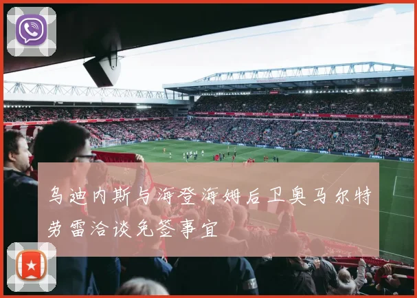 乌迪内斯与海登海姆后卫奥马尔特劳雷洽谈免签事宜
